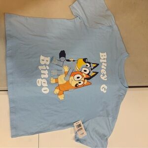 Bluey & Bingo Women's Sky Blue Graphic Tee